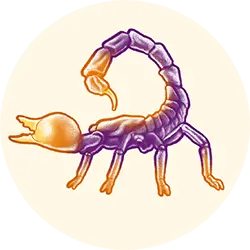 Scorpio zodiac icon